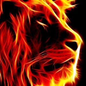 Meet your Posher, Bryon